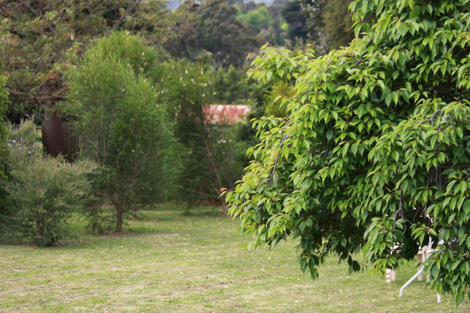 Opal Motel Leongatha Kültér fotó